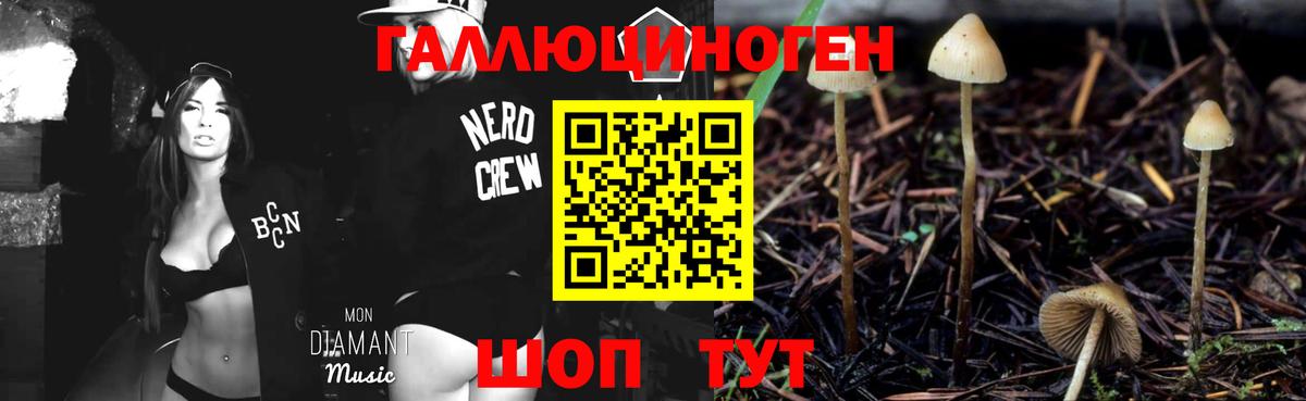 Чебоксары  Галлюциногенные грибы Cubensis  Вход с VPN  Псилоцибиновые грибы MAGIC MUSHROOMS 